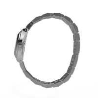 Watch Swatch Woman Irony in Steel YSS300G - YSS300G